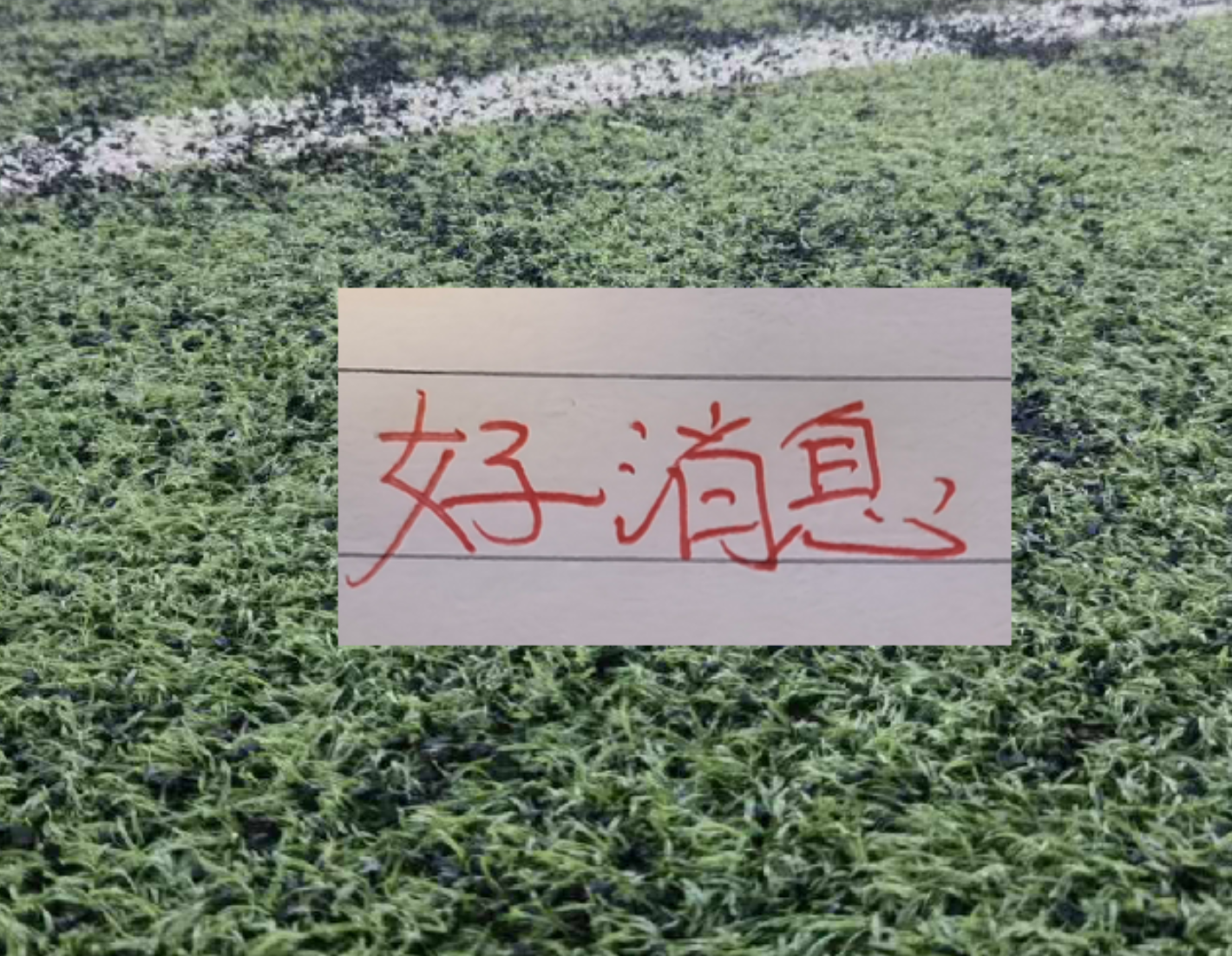 郑钦文放弃亚运会卫冕引发辩论，新科法网亚军哈雷首战出局遭调侃