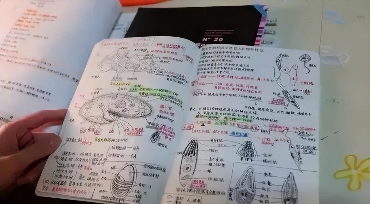 尽管得到了莫兰特，但人员拥挤的开拓者并不打算送走后场老将？