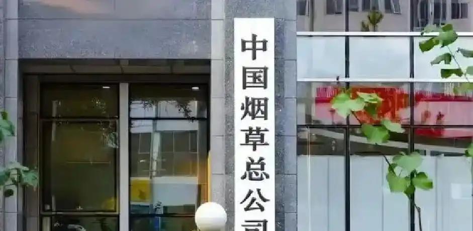 金年会体育TA：世界杯粉色球鞋风潮为设计趋势；球员喜欢用亮色体现个性